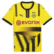 BVB Borussia Dortmund Ausweich Trikot 2024/25 Cup Fußballtrikot