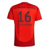 FC Bayern München J. Palhinha #16 Heim Trikot 2024/25 Fußballtrikot