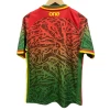Kamerun Heim Trikot 2024 Fußballtrikot