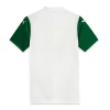 Palmeiras Auswärts Trikot 2025/26 Fußballtrikot