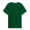 Palmeiras Heim Trikot 2025/26 Fußballtrikot
