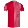 Southampton Heim Trikot 2023/24 Fußballtrikot