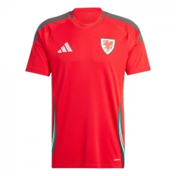 Wales Heim Trikot 2024 Fußballtrikot