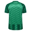 Werder Bremen Heim Trikot 2024/25 Fußballtrikot